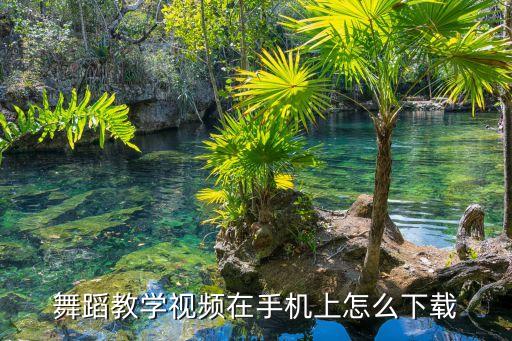 舞蹈教学视频在手机上怎么下载