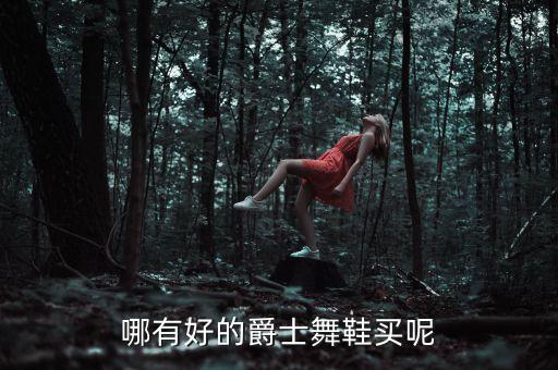 哪有好的爵士舞鞋买呢