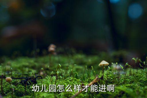 银川燕鸽幼儿园怎么进，谁知道银川哪个幼儿园比较好