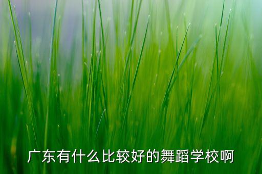 广东有什么比较好的舞蹈学校啊