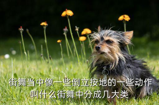  街舞当中像一些倒立按地的一些动作叫什么街舞中分成几大类