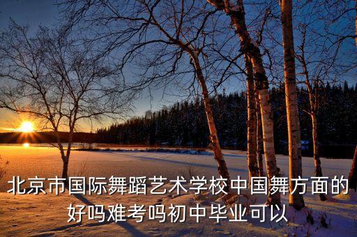 艺考中国舞网纱上衣，北京市国际舞蹈艺术学校中国舞方面的好吗难考吗初中毕业可以