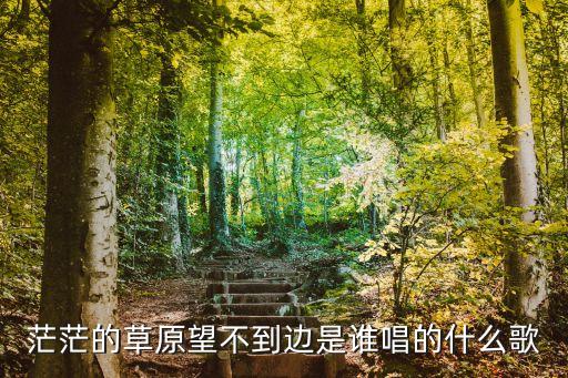 茫茫的草原望不到边是谁唱的什么歌