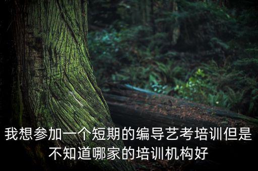 我想参加一个短期的编导艺考培训但是不知道哪家的培训机构好