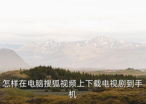 怎样在电脑搜狐视频上下载电视剧到手机