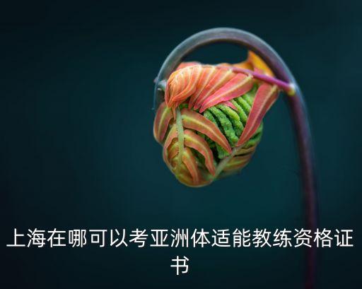青少年体适能教练证书，我想考国家体能教练证 谁能麻烦告诉我需要什么条件怎么考  问