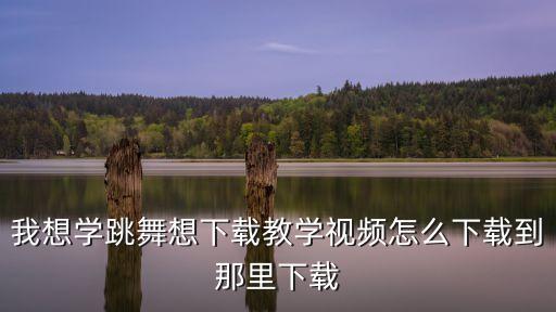 我想学跳舞想下载教学视频怎么下载到那里下载