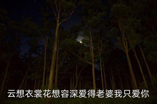 云想衣裳花想容深爱得老婆我只爱你