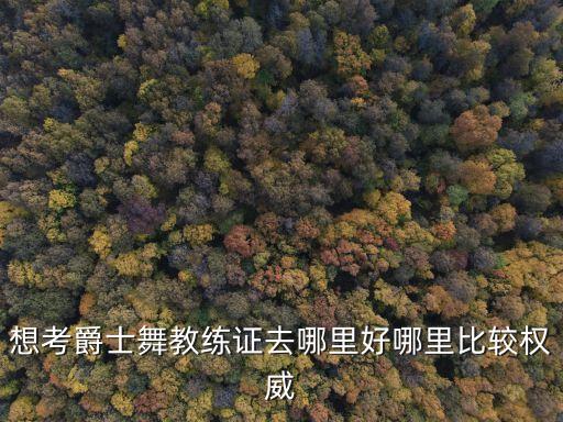 想考爵士舞教练证去哪里好哪里比较权威