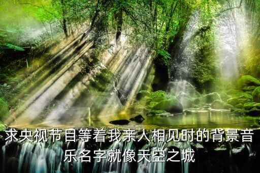 求央视节目等着我亲人相见时的背景音乐名字就像天空之城