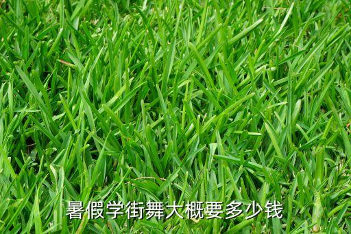 暑假期舞蹈班多少钱，烟台福山区哪里有学习舞蹈的 暑假学一个月大概要多少钱