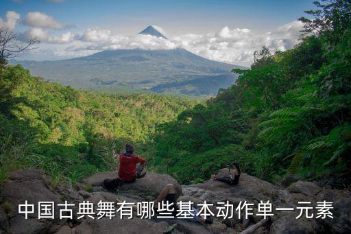 中国古典舞有哪些基本动作单一元素