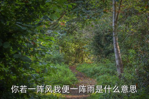 你若一阵风我便一阵雨是什么意思