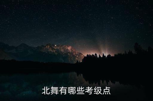 北舞学生考级怎么打分，北舞要多少分