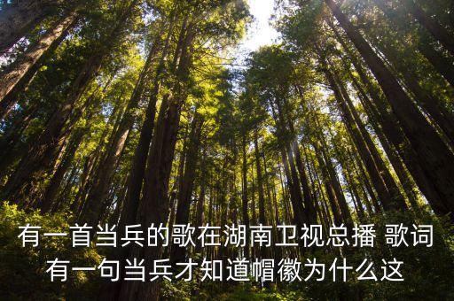 有一首当兵的歌在湖南卫视总播 歌词有一句当兵才知道帽徽为什么这
