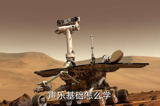 音乐基础课，音乐素养课学习的重点有哪些