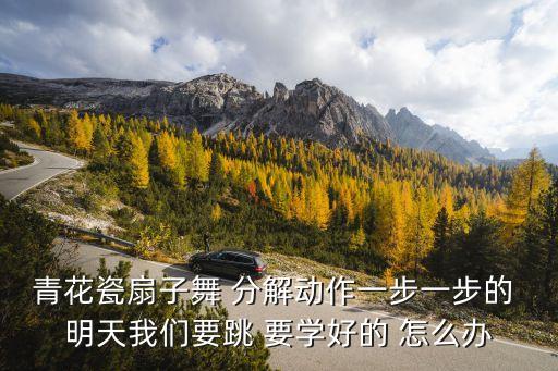青花瓷扇子舞 分解动作一步一步的 明天我们要跳 要学好的 怎么办