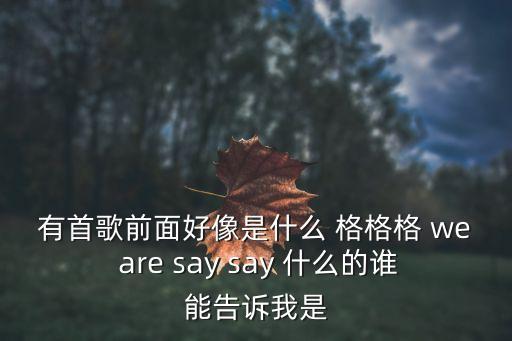 有首歌前面好像是什么 格格格 we are say say 什么的谁能告诉我是