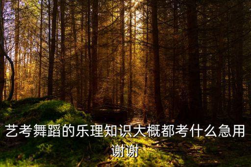 舞蹈考研都考什么内容，舞蹈教育学考研都考什么专业