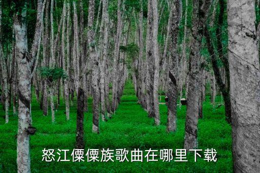 怒江僳僳族歌曲在哪里下载