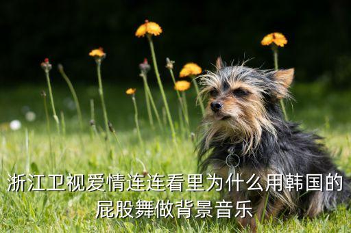 重庆叶子广场舞爱是什么背面，浙江卫视爱情连连看里为什么用韩国的屁股舞做背景音乐