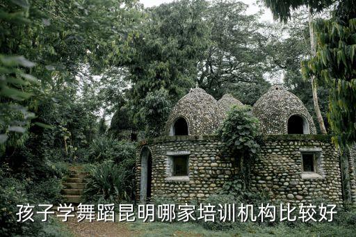 孩子学舞蹈昆明哪家培训机构比较好
