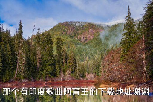 那个有印度歌曲阿育王的下载地址谢谢