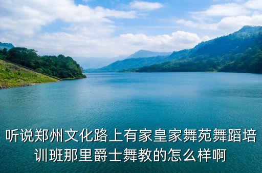 听说郑州文化路上有家皇家舞苑舞蹈培训班那里爵士舞教的怎么样啊