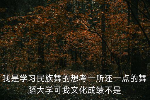 我是学习民族舞的想考一所还一点的舞蹈大学可我文化成绩不是