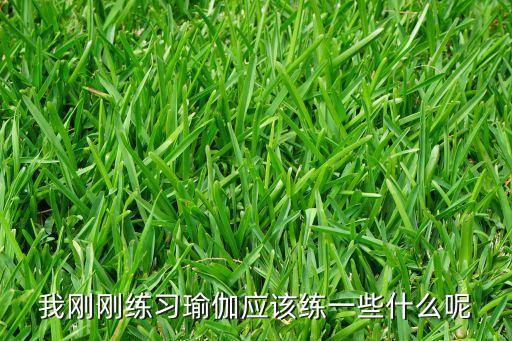 我刚刚练习瑜伽应该练一些什么呢