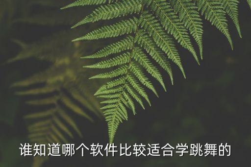 谁知道哪个软件比较适合学跳舞的