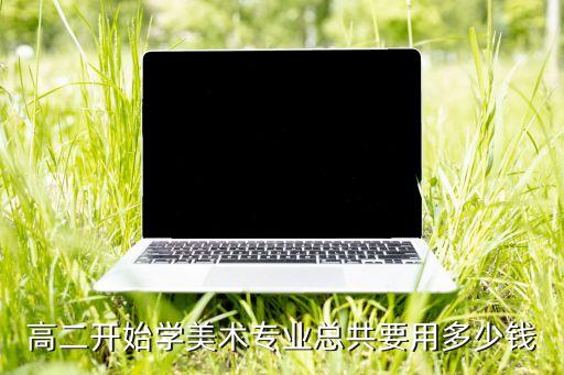 高二开始学美术专业总共要用多少钱