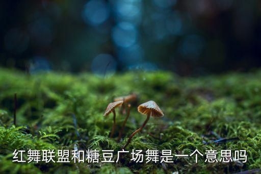 红舞联盟和糖豆广场舞是一个意思吗