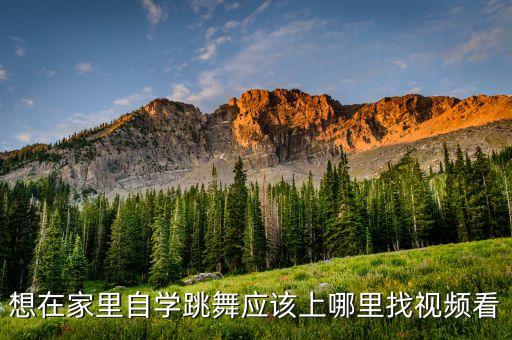 哪里有教跳舞的视频，原创在哪可以找到学跳舞的视频
