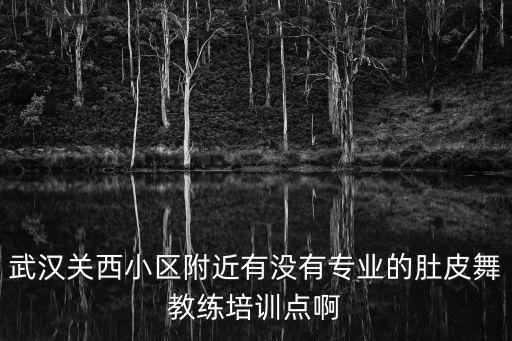 武汉关西小区附近有没有专业的肚皮舞教练培训点啊