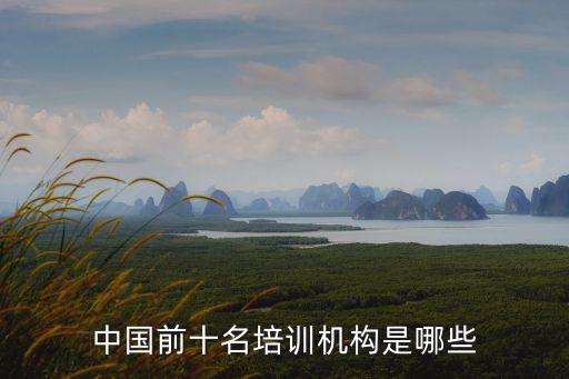 中国教育培训机构排名前十，中国前十名培训机构是哪些