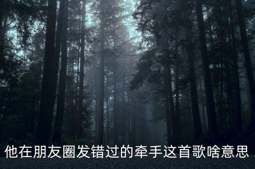 他在朋友圈发错过的牵手这首歌啥意思