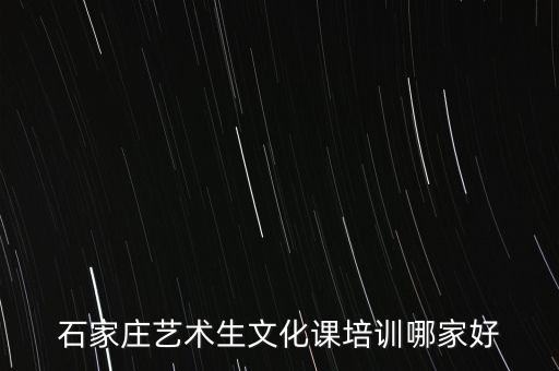 石家庄艺术生文化课培训哪家好