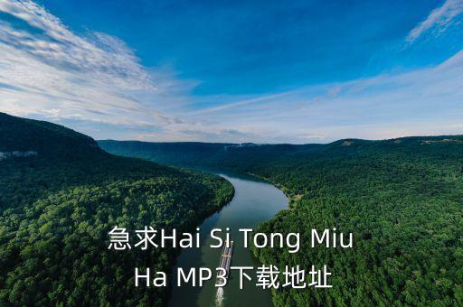急求Hai Si Tong Miu Ha MP3下载地址