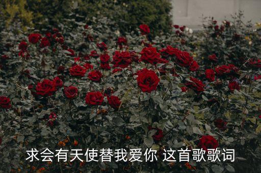 求会有天使替我爱你 这首歌歌词