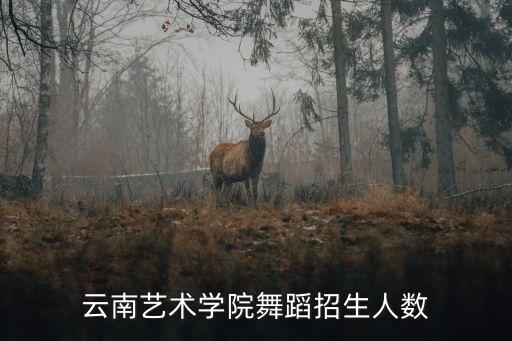 云南艺术学院舞蹈招生人数