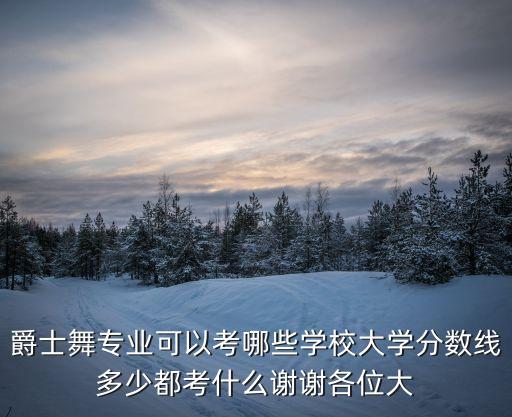 爵士舞专业可以考哪些学校大学分数线多少都考什么谢谢各位大