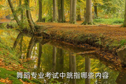 舞蹈艺考内容，舞蹈高考艺考考什么 选择舞蹈艺考需要注意什么