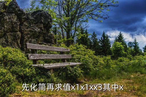 先化简再求值x1x1xx3其中x