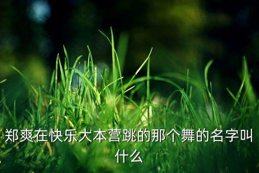 花桥流水什么舞，又见一帘幽梦里跳的是属于什么舞