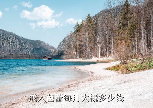 成人巴雷把杆多少钱，成人芭蕾每月大概多少钱