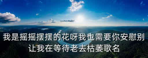 我是摇摆歌歌名叫什么，有一首歌男的唱的dj挺流行的声音有点老好像有句我是摇摆头