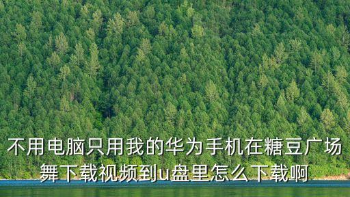 不用电脑只用我的华为手机在糖豆广场舞下载视频到u盘里怎么下载啊