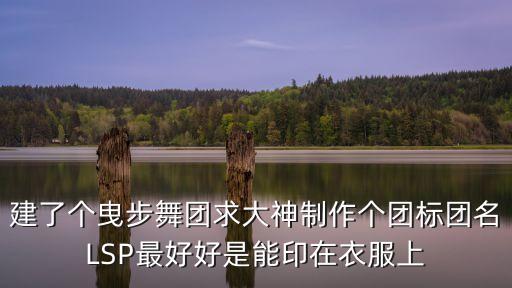 建了个曳步舞团求大神制作个团标团名LSP最好好是能印在衣服上