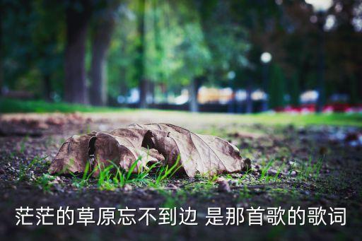 茫茫的草原忘不到边 是那首歌的歌词